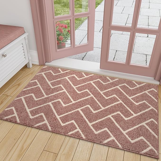 hicorfe Front Door Mat Outside Entrance, Absorbent Mud Mat,Welcome Door Mats Outdoor Indoor,Stain and Fade Resistant,Non Slip Backing Entry Doormat,Pet Rug for Entryway (32"x48",Dark Pink)