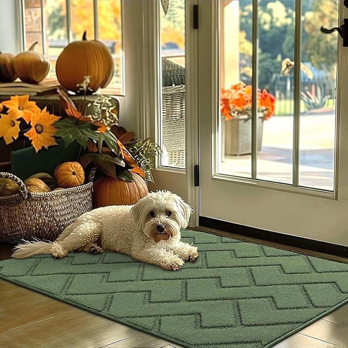 hicorfe Indoor Door Mat,Non Slip Door Mats,32"x48" Front Back Door Mat Rubber Backing,Absorbent Resist Dirt Entrance Inside Floor Mats for Entryway Washable Low-Profile(Green)
