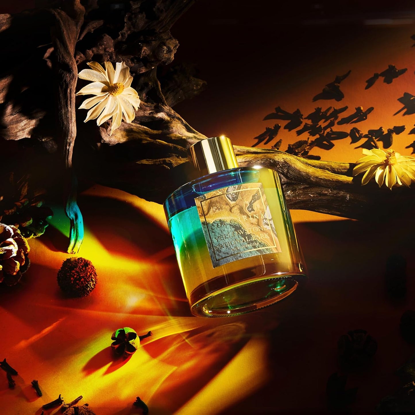 COCORRÍNA Reed Diffuser - Yellowstone National Park 6.7 Fl.oz Reed Diffuser Set with 8 Sticks & Preserved Baby's Breath, Reed Diffuser for Home Bathroom Shelf Decor