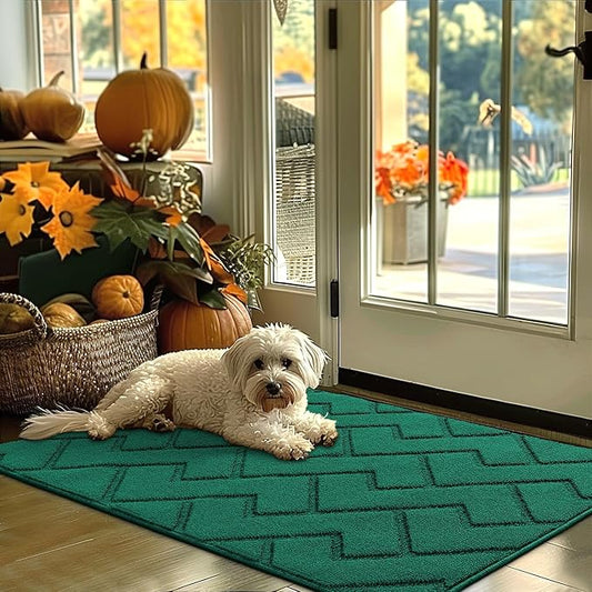 hicorfe Indoor Door Mat,Non Slip Door Mats,32"x48" Front Back Door Mat Rubber Backing,Absorbent Resist Dirt Entrance Inside Floor Mats for Entryway Washable Low-Profile(Evergreen)