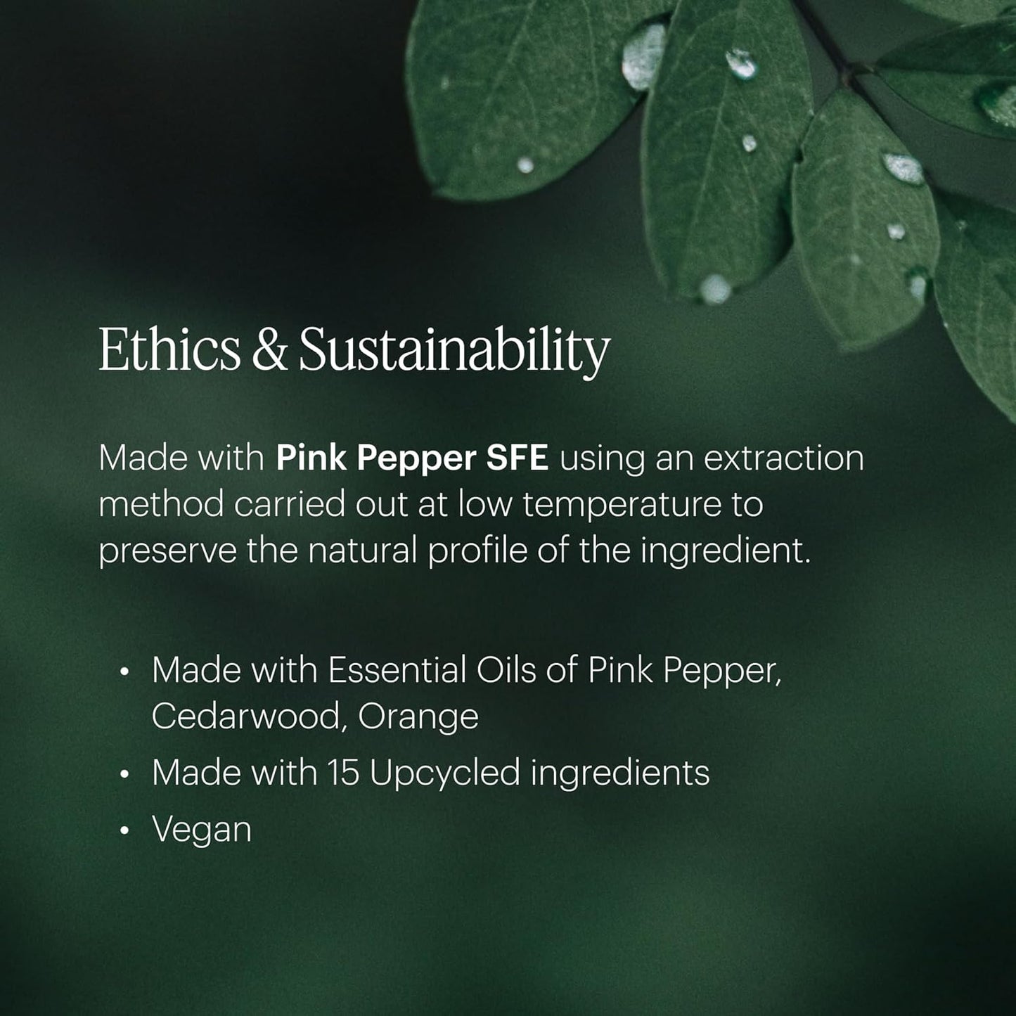 Aera Mini Curiosity - Essential Oil for Home - Pear and Redberries Fragrance - Notes of Magnolia, Lotus Flower and Citrus - Scent Refill - Capsule Size Works with Mini Diffuser