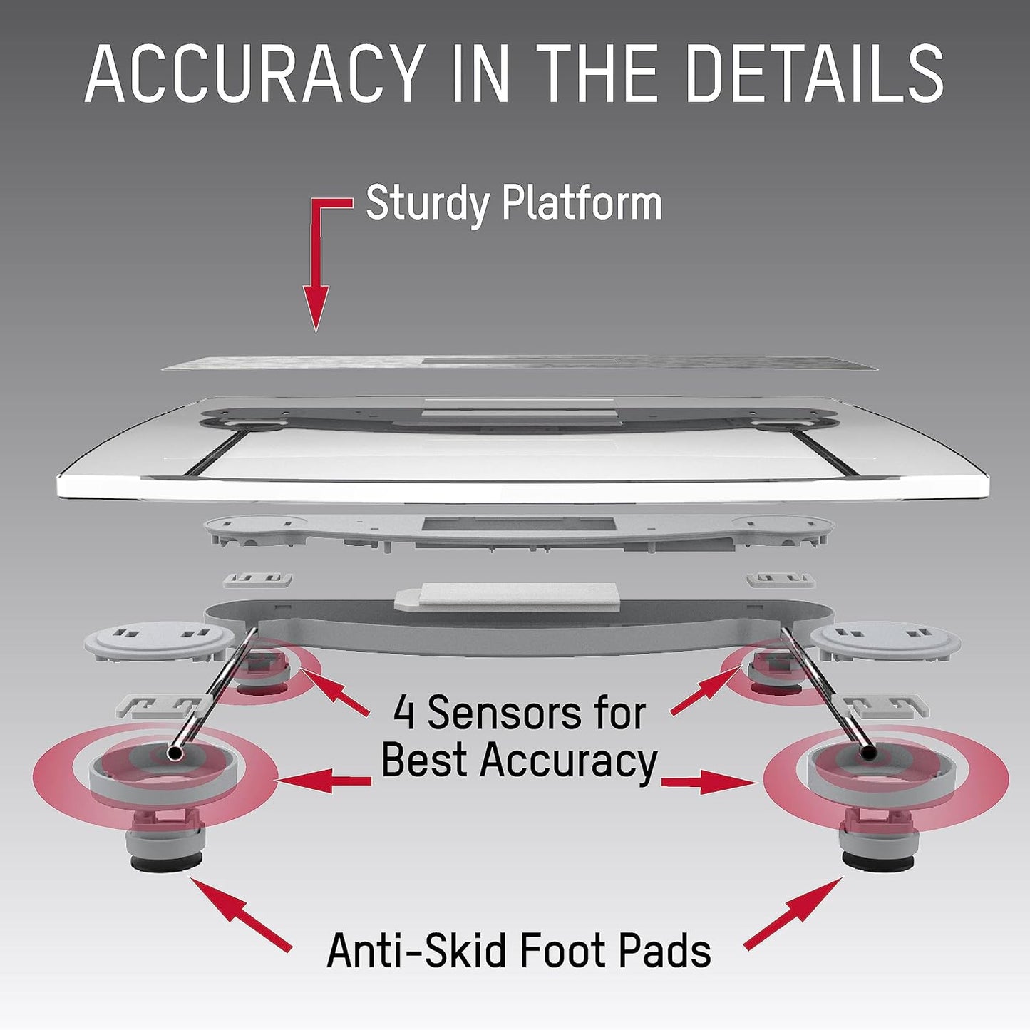Taylor Digital Scales for Body Weight, Extra Highly Accurate 440 LB Capacity, Unique Blue LCD, Stainless Steel Accents GlassPlatform, 12.4 x 12.4 Inches, Clear