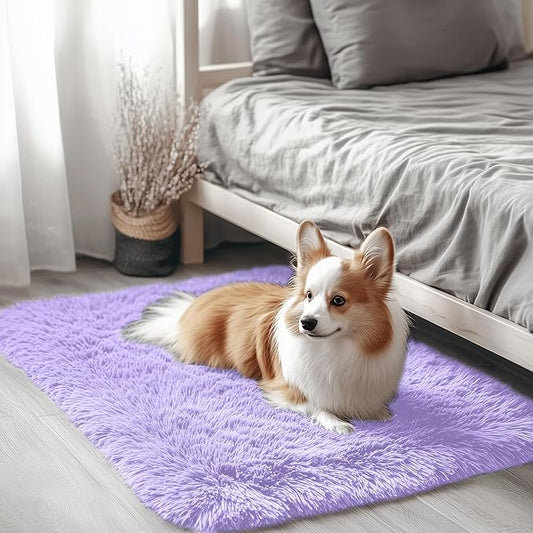 OLANLY 2x3 Machine Washable Small Bedside Rug, Soft Fluffy Shaggy Entryway Throw Rugs for Bedroom, Living Room, Indoor Floor Carpet for Kids Girl Boy, Nursery Room, Home Decor Aesthetic, Light Purple