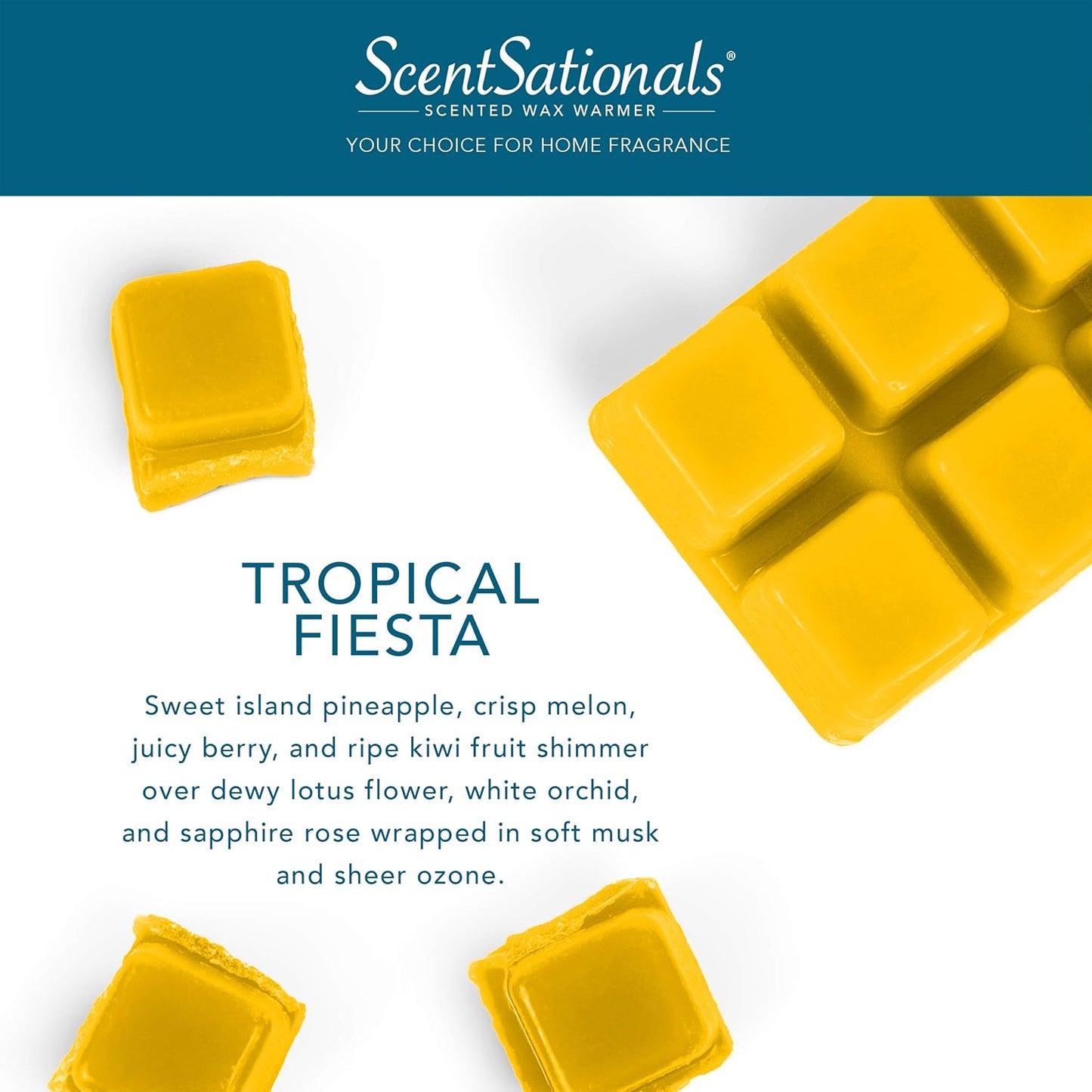 Scentsationals Wax Melts, Wax Cubes Strong Scent - Tropical Fiesta - Long Lasting Scented Melts for Warmer, 10oz (24-Cubes)