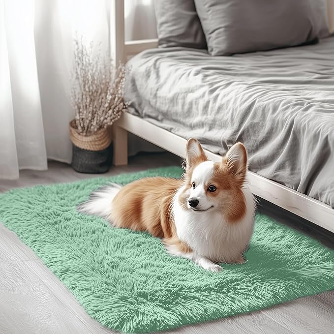 OLANLY 2x3 Machine Washable Small Bedside Rug, Soft Fluffy Shaggy Entryway Throw Rugs for Bedroom, Living Room, Indoor Floor Carpet for Kids Girls Boy, Nursery Rooms, Home Decor Aesthetic, Mint Green