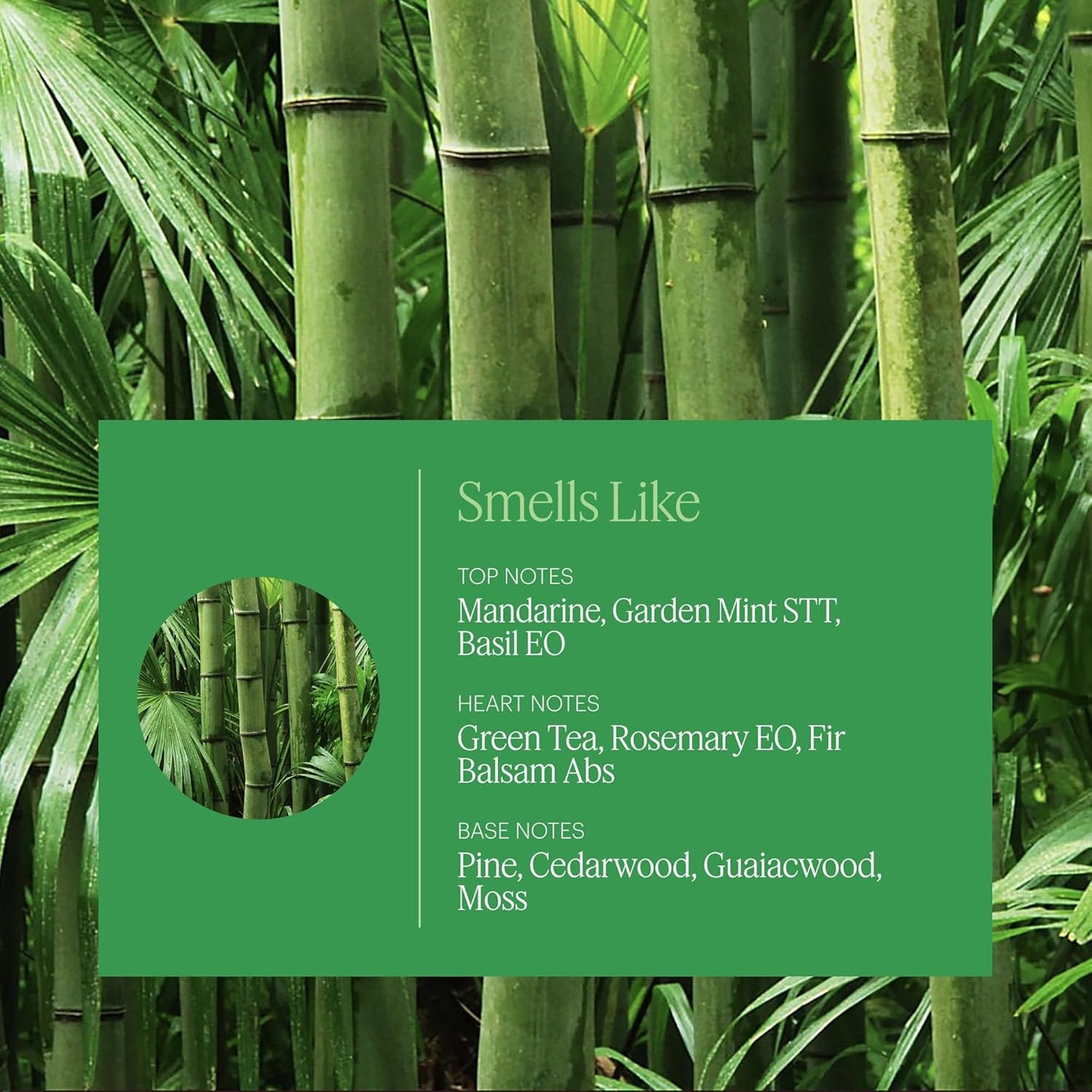 Aera Mini Bamboo Jardin - Essential Oil for Home - Garden Fragrance - Notes of Lush Greens and Citrus - Scent Refill - Capsule Size Works with Mini Diffuser