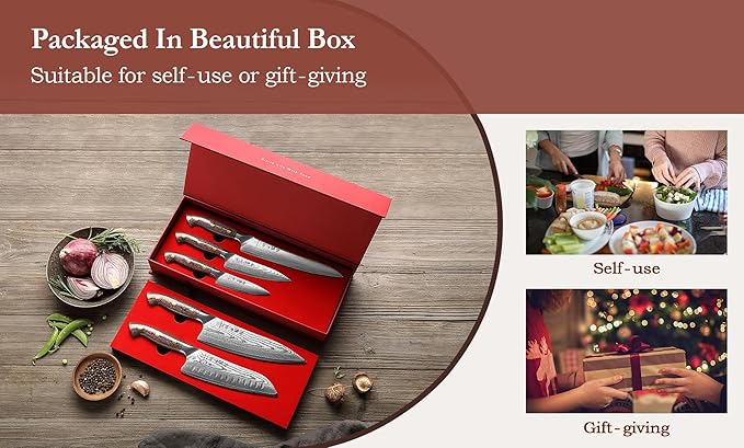 HEZHEN Damascus Chef Knife Set, 67 Layers Damascus Steel, 5PCS, Ultra Sharp, Professional Kitchen Knife Set for Chefs and Home Cooking, Ergonomic Micarta Handle, Gift Packing