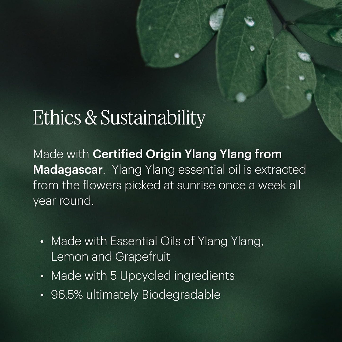 Aera Mini Vibrance - Essential Oil for Home - Lively and Refreshing Fragrance - Notes of Tropical Florals, Grapefruit and Amber - Scent Refill - Capsule Size Works with Mini Diffuser