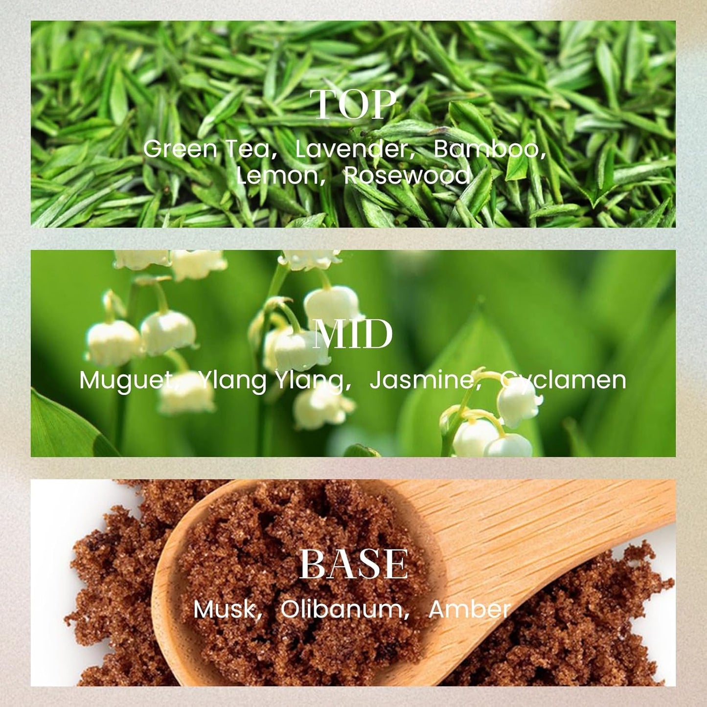 M&SENSE 6.3 oz Large Reed Diffuser Set | Bamboo Scent Oil Diffuser with Sticks | Hotel Collection Non-Toxic Essential Oil |for Bedroom Bathroom Living Room