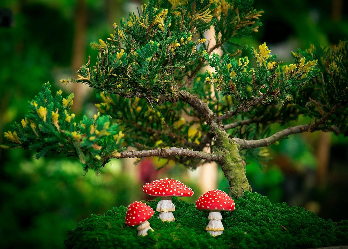 Tree Poetry Fairy Garden Miniatures, Mini Mushroom Figurines, Mushrooms Decor, Outdoor Mushroom, Fake Mushrooms, Mushroom Statue, Fairy Garden, Mushroom Garden Decor, Mushroom Outdoor