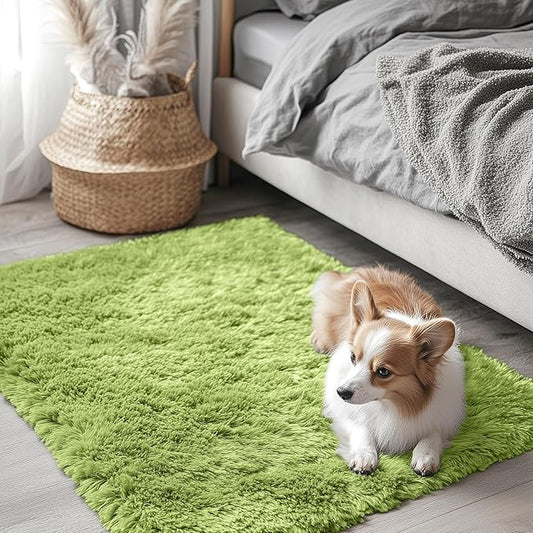 OLANLY 2x3 Machine Washable Small Bedside Rug, Soft Fluffy Shaggy Entryway Throw Rugs for Bedroom, Living Room, Indoor Floor Carpet for Kids Girl Boy, Nursery Rooms, Home Decor Aesthetic, Grass Green