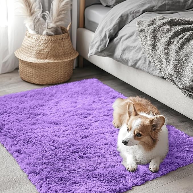 OLANLY 2x3 Machine Washable Small Bedside Rug, Soft Fluffy Shaggy Entryway Throw Rugs for Bedroom, Living Room, Indoor Floor Carpet for Kids Girls Boys, Nursery Rooms, Home Decor Aesthetic, Purple