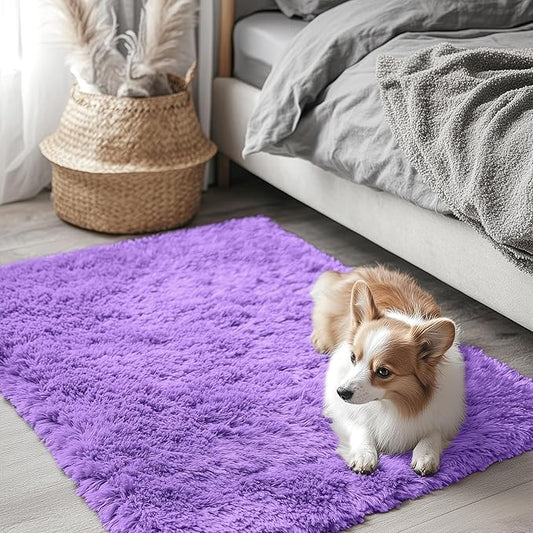 OLANLY 2x3 Machine Washable Small Bedside Rug, Soft Fluffy Shaggy Entryway Throw Rugs for Bedroom, Living Room, Indoor Floor Carpet for Kids Girls Boys, Nursery Rooms, Home Decor Aesthetic, Purple