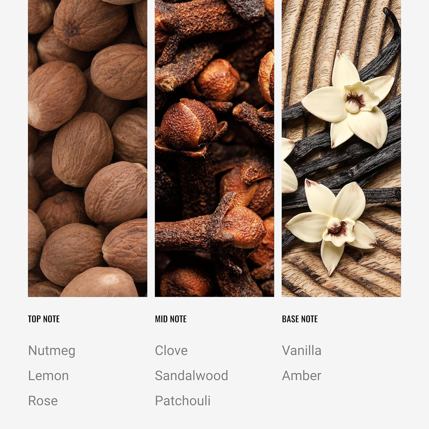 Hotel Collection | Midnight in Paris Reed Diffuser Oil Blend | Luxury Essential Aromatherapy Reed Diffuser | 4 Months Longevity | Sandalwood, Vanilla and Amber | 100mL