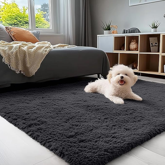 OLANLY 3x5 Machine Washable Small Bedside Rug, Soft Fluffy Shaggy Rugs for Living Room, Bedroom, Indoor Floor Carpet for Kids Girls and Boys, Preppy Dorms, Nursery, Home Decor Aesthetic, Black