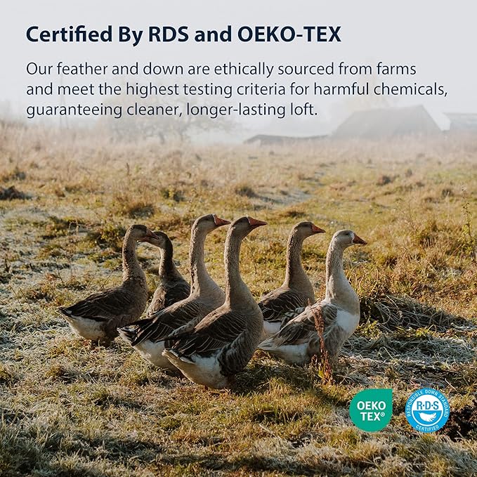 Pacific Coast Bed Pillow, Luxury Hotel Collection Goose Feather and Down Pillow for Sleeping with Classic Diamond Pattern, Medium Supportive, Standard Size 1 Pack