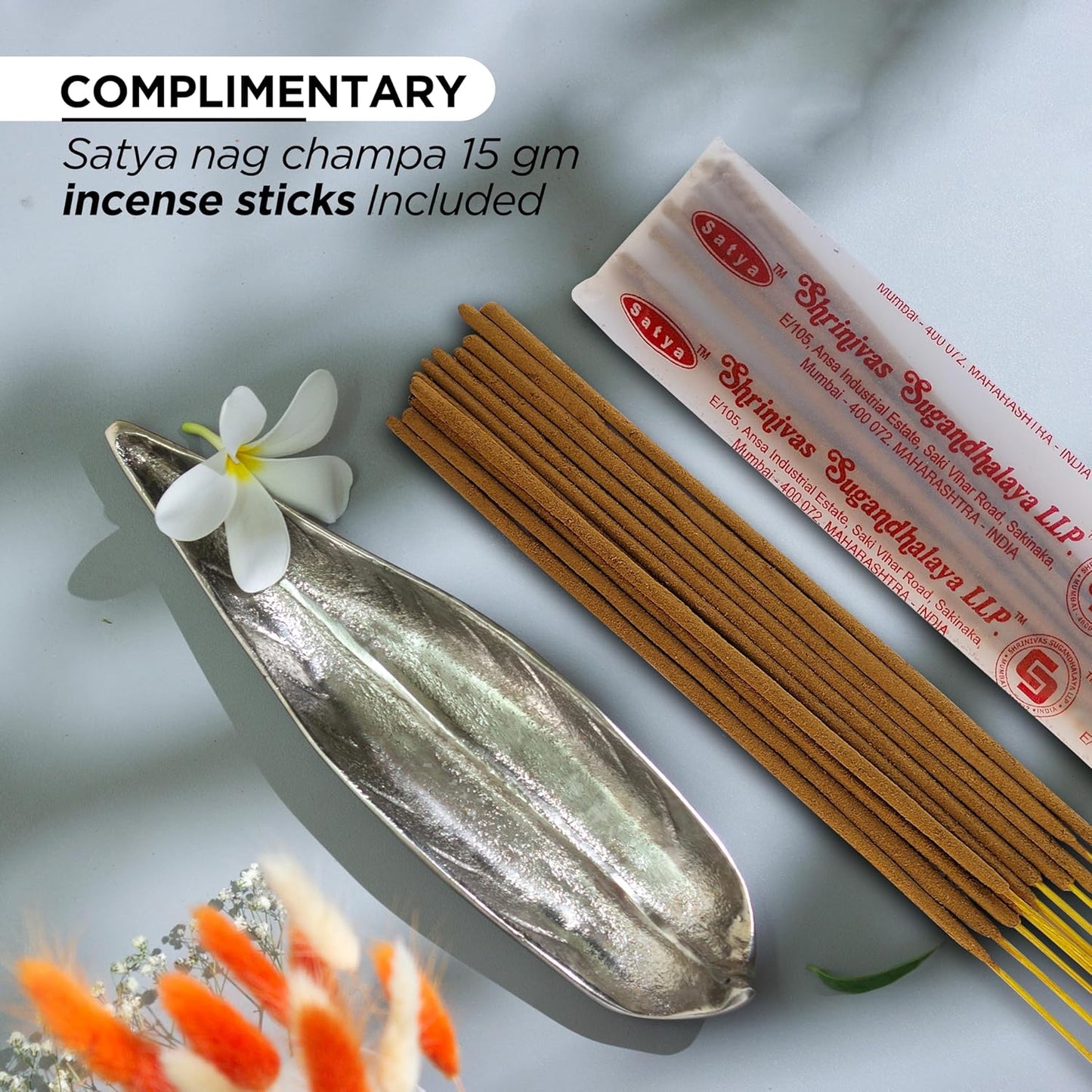 Raajsee Incense Holder Set with Nag Champa Incense, Leaf & Stick Burner, Brass Holder for Yoga, Meditation & Home Decor - Size 10x3 inches