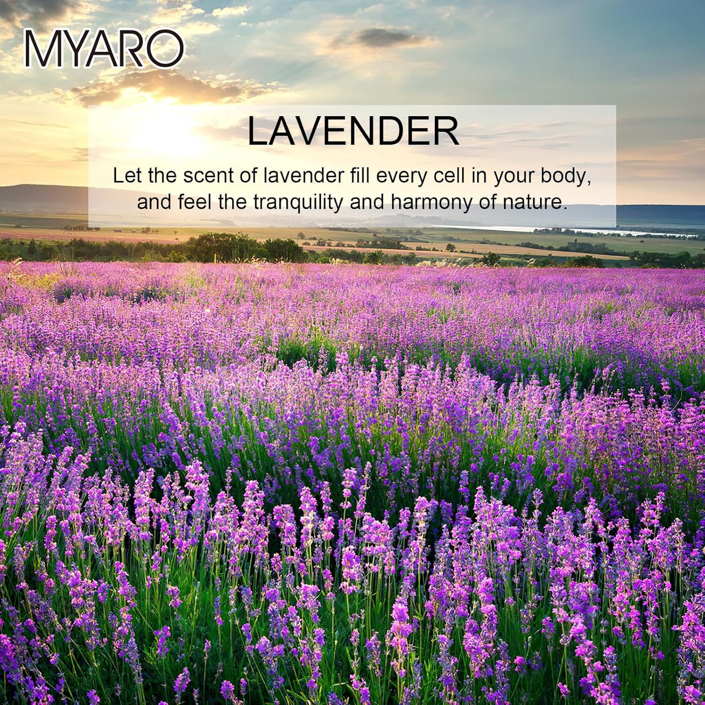 MYARO 12 Packs Lavender Large Scented Sachets for Drawer and Closet, Long-Lasting Hanging Sachet Bags Closet Deodorizer Scented Air Fresheners for Home for Lover