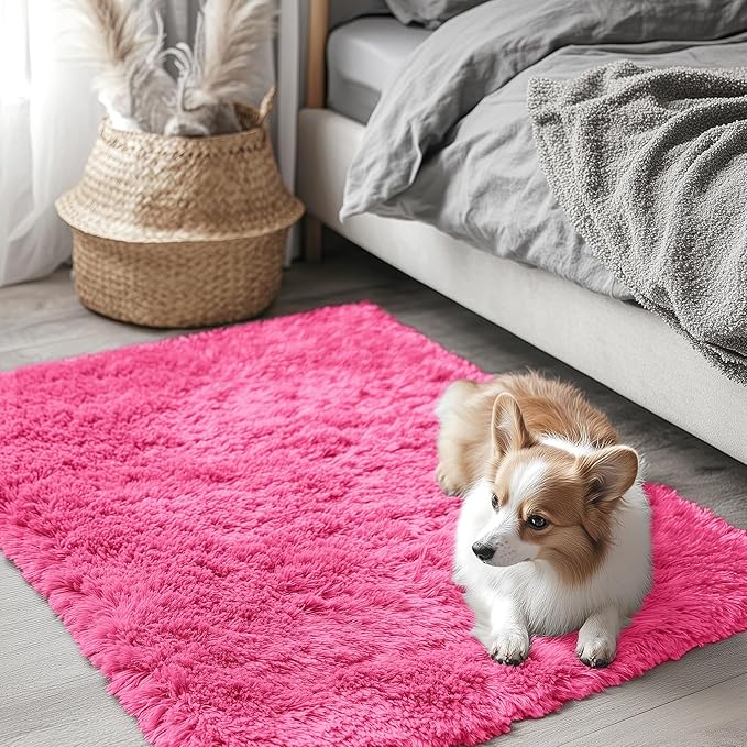 OLANLY 2x3 Machine Washable Small Bedside Rug, Soft Fluffy Shaggy Entryway Throw Rugs for Bedroom, Living Room, Indoor Floor Carpet for Kids Girls Boys, Nursery Rooms, Home Decor Aesthetic, Hot Pink