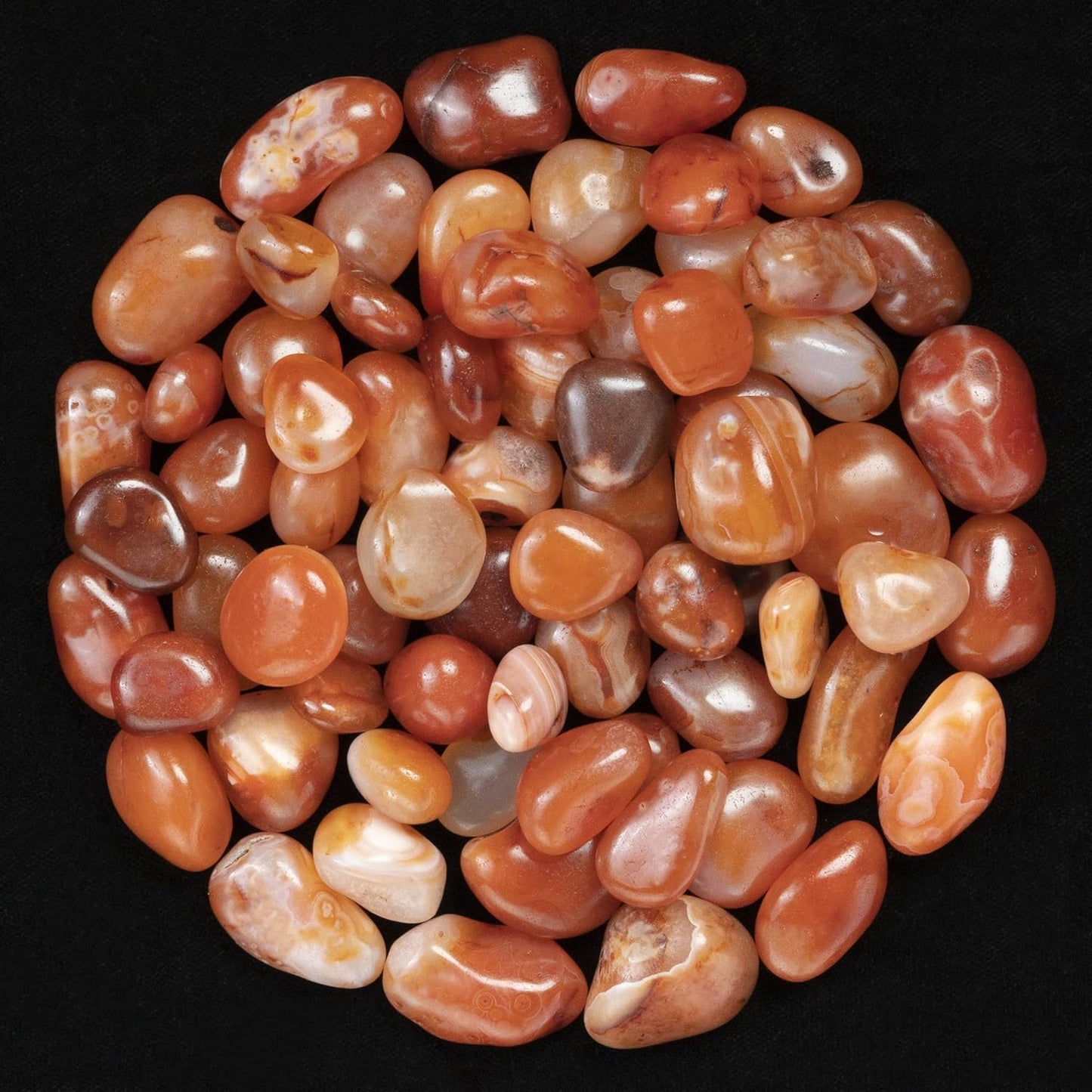Crocon 1LB Carnelian Tumbled Stones and Crystals Bulk 2000+ Carats Natural Crystal Kit for Reiki Healing Crystal Polished, Tumble Stones, Chakra Balancing, Gift, Home Decor Size : 20-25 mm