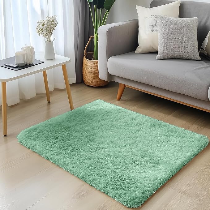 OLANLY 2x3 Machine Washable Small Bedside Rug, Soft Fluffy Shaggy Entryway Throw Rugs for Bedroom, Living Room, Indoor Floor Carpet for Kids Girls Boy, Nursery Rooms, Home Decor Aesthetic, Mint Green