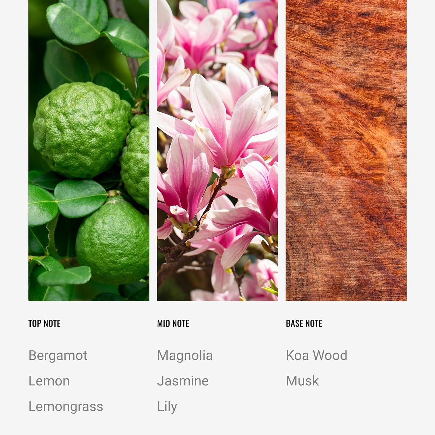 Hotel Collection - 24K Magic - Reed Diffuser Set - Luxury Aromatherapy - Lemon, Bergamot, Black Fig, Cedarwood, Amber, Musk & Blonde Woods - Essential Oil Diffusers - Shelf Decor - 100mL/3.5 FL oz