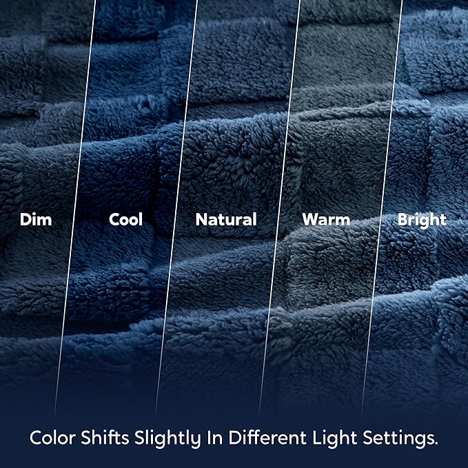 Joiedomi Twin Blanket for Bed, Soft Fleece Blue Checkered Blankets Gifts for Women Mom Girls, 280GSM Cozy Cute Soft Throw Home Room Decor Aesthetic Gifts 60x80 Inches