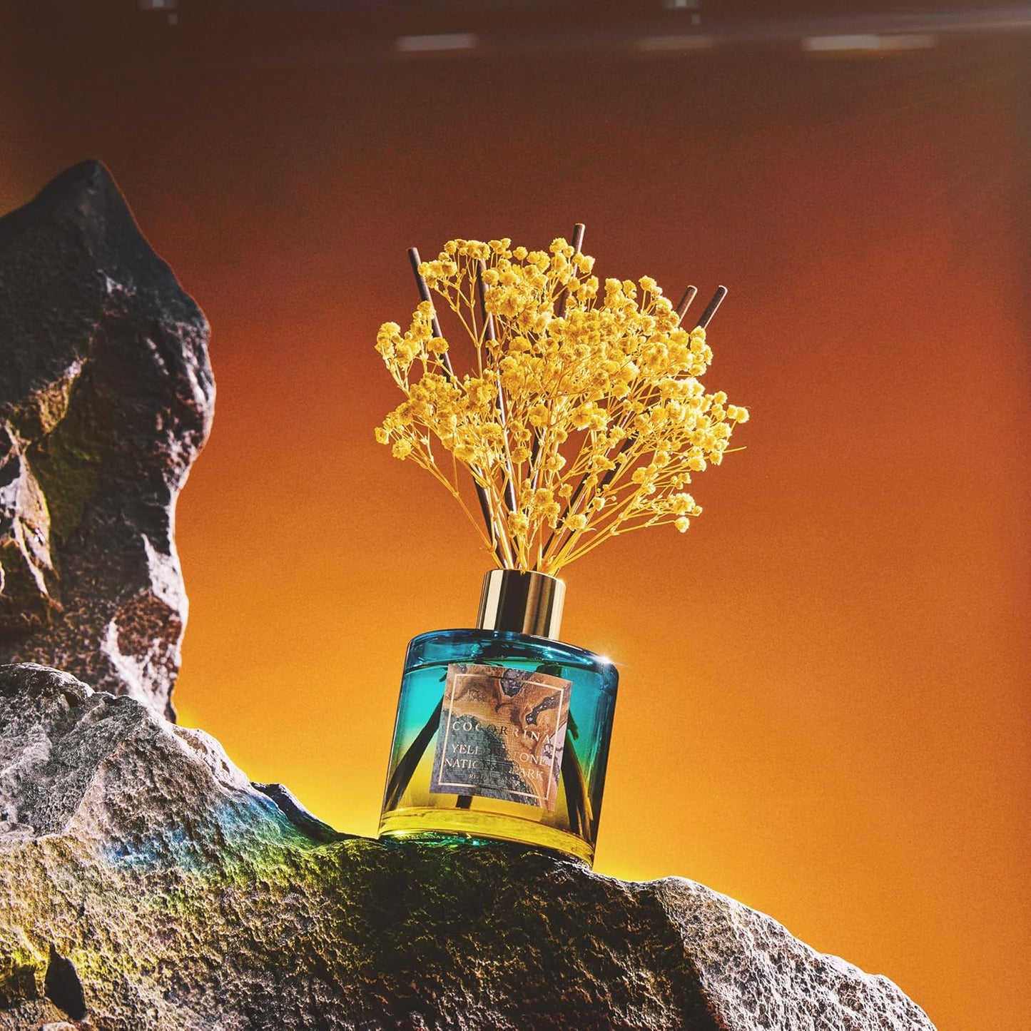 COCORRÍNA Reed Diffuser - Yellowstone National Park 6.7 Fl.oz Reed Diffuser Set with 8 Sticks & Preserved Baby's Breath, Reed Diffuser for Home Bathroom Shelf Decor