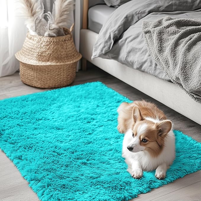 OLANLY 2x3 Machine Washable Small Bedside Rug, Soft Fluffy Shaggy Entryway Throw Rugs for Bedroom, Living Room, Indoor Floor Carpet for Kids Girls Boys, Nursery Rooms, Home Decor Aesthetic, Teal Blue