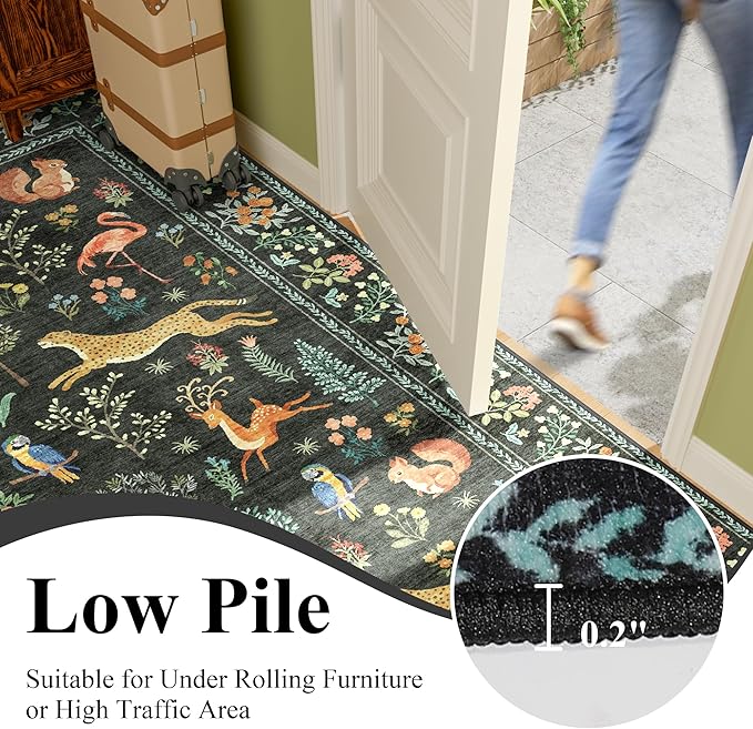DUKINO 2x3 Rug, Washable Animal Rugs for Entryway, Non Slip Indoor Door Mat, Soft Low Pile Small Area Carpet for Entrance, Bedroom, Kitchen, Laundry, Bathroom, Black